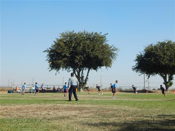 Ref League